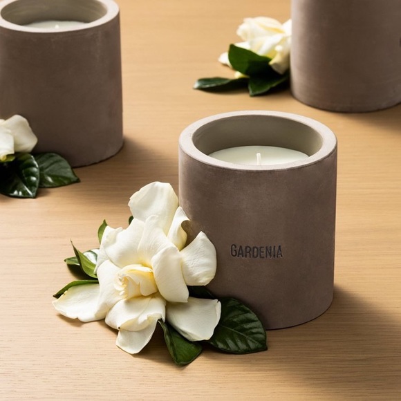 Hearth & Hand Other - Hearth and Hand soy candle in cement - Gardenia